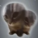 Chipi Chapa