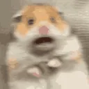 えんたの部屋之介