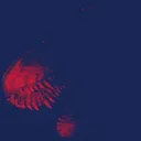 ◟ 𝐄𝐗𝐓𝐈𝐍𝐂𝐓𝐈𝐎𝐍 ◝