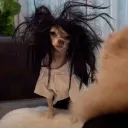 Chat Headquarters's icon