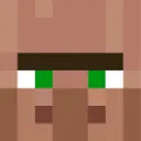 Villager Goofs