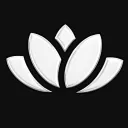 BLACK LOTUS