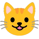 Meow Team🐱
