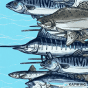 GoToFishing icon