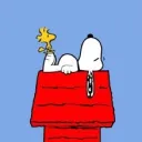 the doghouse