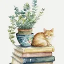 Cosy Nook