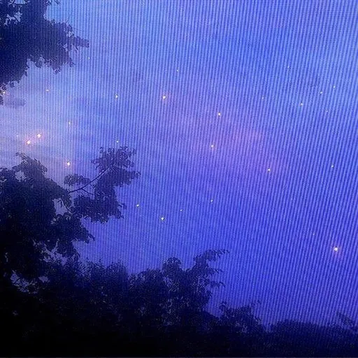 ✿ 𝓷 𝓲 𝓰 𝓱 𝓽 𝓶 𝓪 𝓻 𝓮 ✿ — моніторинг Discord сервера, статистика та рейтинг