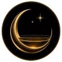 ✮⋆˙The Celestial Veil