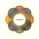 The Compassion Collective