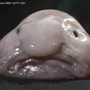 養成所