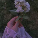 𖥻 ׁ ׅ 𝑵𝒚𝒎𝒑𝒉𝒔 ! ׁ ׅ 🕯     (revamp)