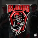BLOODS  | METROPOLE