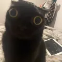 El Sotano de Noxxh