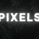 𝙿𝙸𝚇𝙴𝙻𝚂 Discord Server Icon