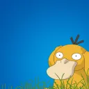 Psyduck's Pokeball