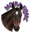 Moira Equestrian MC Discord Server Icon