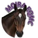𝐌𝐨𝐢𝐫𝐚 𝐄𝐪𝐮𝐞𝐬𝐭𝐫𝐢𝐚𝐧 𝐌𝐂