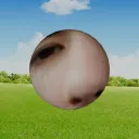 Wojack's Toter