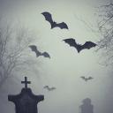 Haunted Hearts | 18+