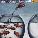 the fishbowl