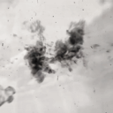 Vạn Giới Đại Chiến