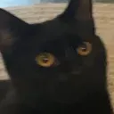 maybeCrow Discord Server