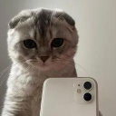 Capo Discord server icon