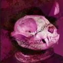 Fear & Hunger - Algophilia