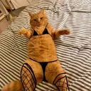 Porn cat +18 🍑