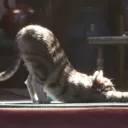 Времена изменились