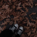 ᯓ       ikigai       ♡ Discord server icon