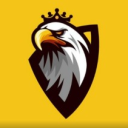 Fz E-SPORTS🔥 Discord server icon