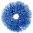 MycoHub