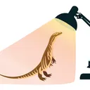 Land of The Lamp