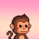 chimps