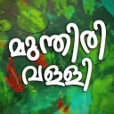 മുന്തിരിവള്ളി 🍇