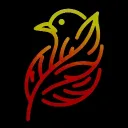 Team Pigeon