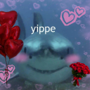 Shark Tank 15+ Discord server icon