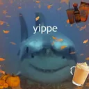 Shark Tank 15+
