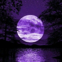 The Night Sky