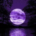 The Night Sky