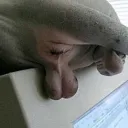 MergeX