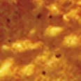 SrQuesoH
