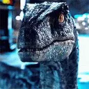 RaptorR43