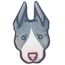 RacingBully