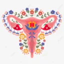 PMDD + ND Warriors