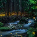 Mythical Grove
