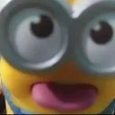 FYM
