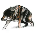Scared Wolf😱🐺