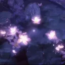 𝕝𝕦𝕟𝕒𝕣 𝕙𝕒𝕧𝕖𝕟 🌙🌌
